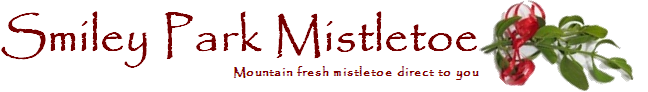 Mistletoe banner from an original affiliate feature